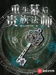 Portada de la novela Renacimiento del mago noble tras las sombras